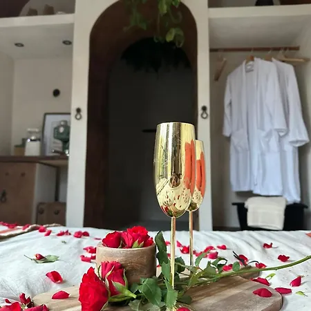 Apartman Studio Amor *